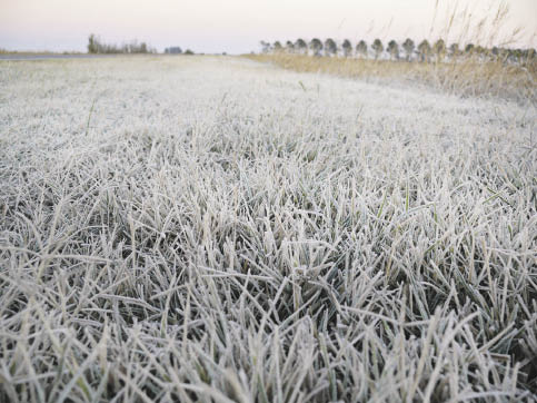 Murió, por el frío, un peón rural