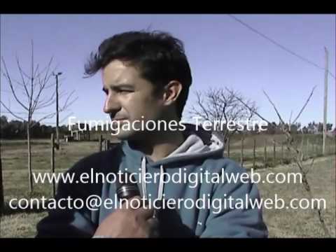 Fumigación terrestre