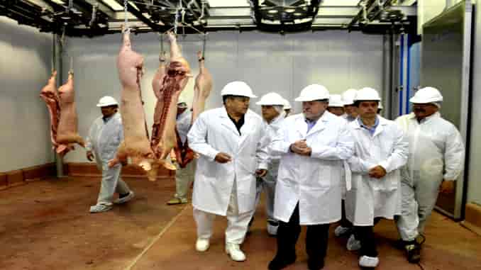 Puesta en funcionamiento Frigorífico HV S.A. de Bernasconi