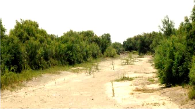 Una muy buena noticia para la provincia de La Pampa