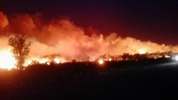 INCENDIOS A CARGO DEL PLAN PROVINCIAL DE MANEJO DEL FUEGO MENDOZA