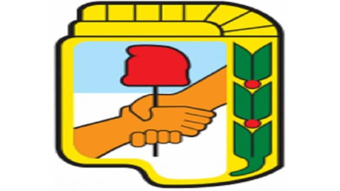 «Todos unidos triunfaremos»