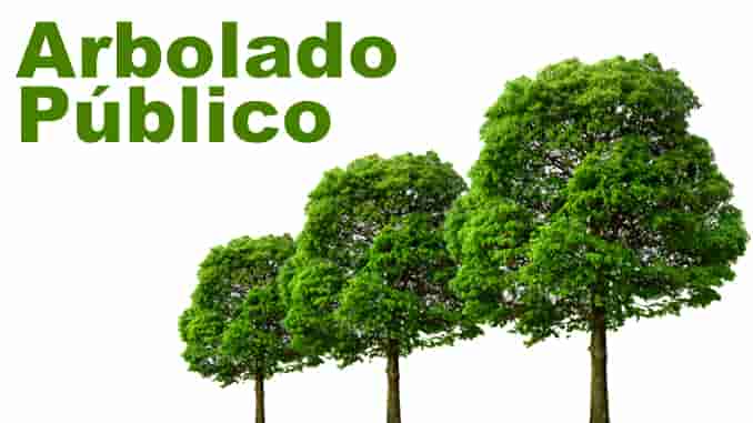 RIGE LA VEDA PARA PODA DE ARBOLADO URBANO