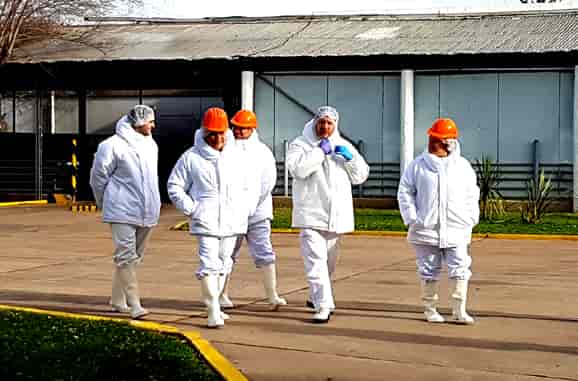 Moralejo visitó planta de faena de liebres que se exportan al exterior