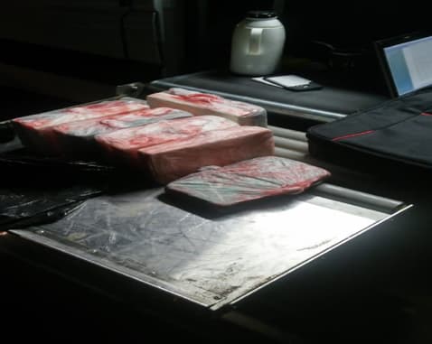 Policía de La Pampa secuestró más de 10 kilos de cocaína