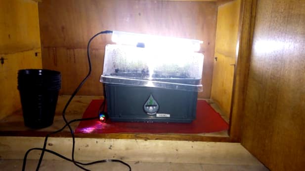 Operativo antidrogas en General Pico