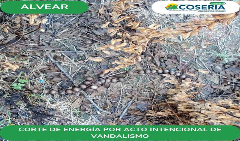 Acto de vandalismo deja a Intendente Alvear sin luz