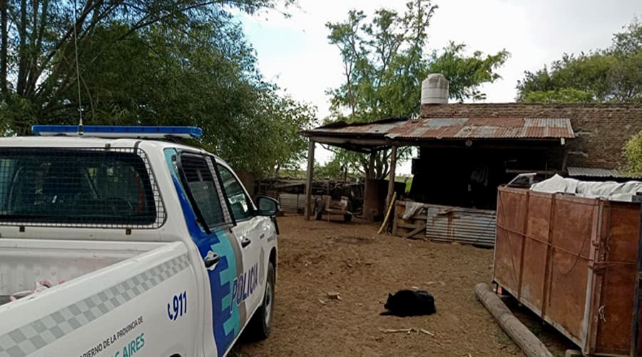 Allanan vivienda por amenazas y crueldad animal