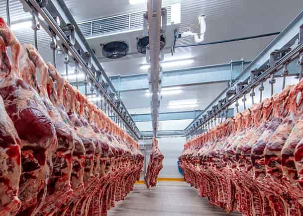 SENASA habilita el ingreso de carne con hueso a la Patagonia