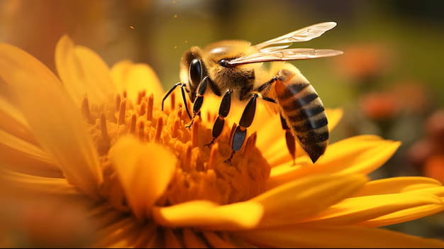20 de Mayo Día Mundial de las Abejas